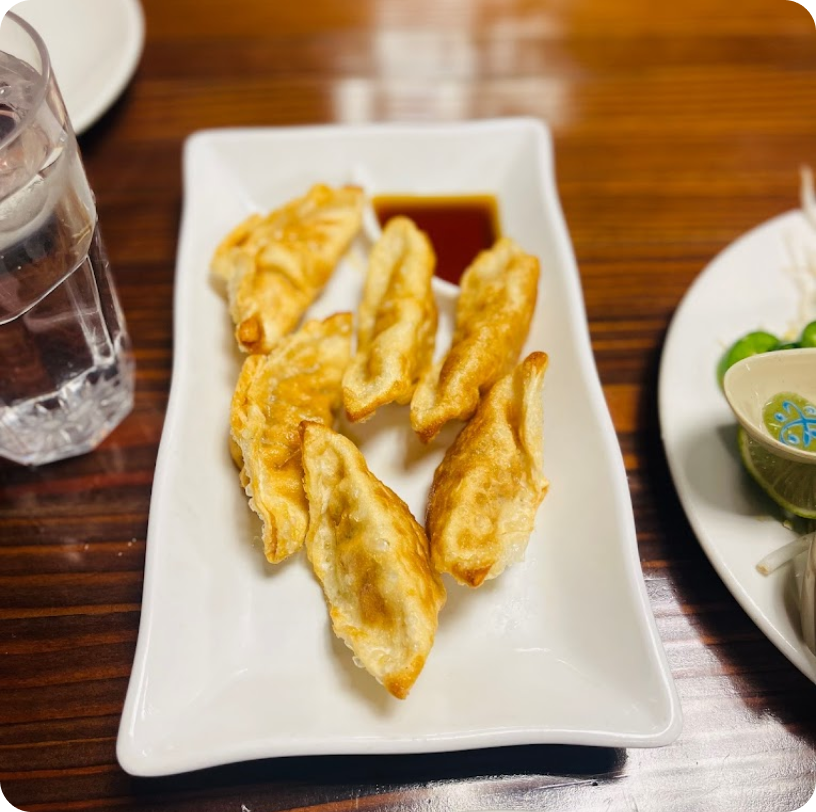 fried pork dumplings with dumpling sauce